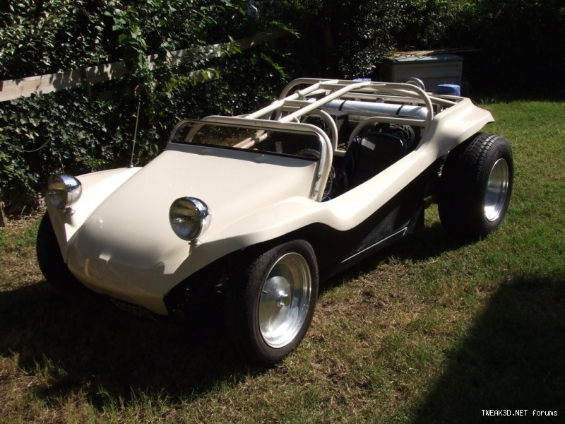 meyers manx roll cage